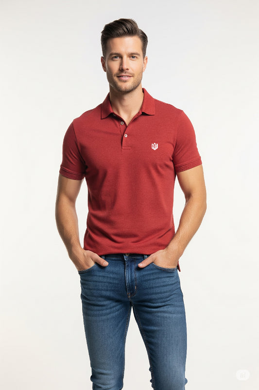 Everyday look with this Men’s Brick Red Solid Polo Neck T-shirt